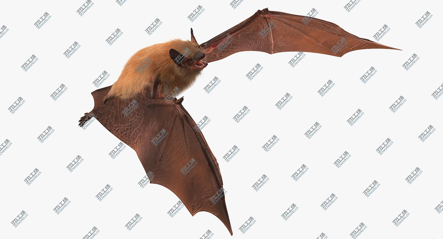 images/goods_img/2021040162/Bat with Fur Rigged/2.jpg